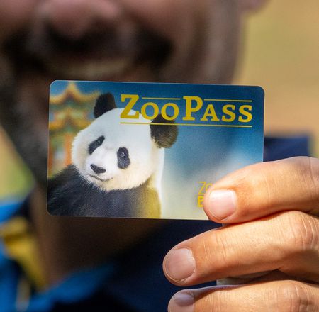 Jeu-concours Facebook et Instagram - Gagner un ZooPass d'une durée de 45 ans - ZooParc de Beauval