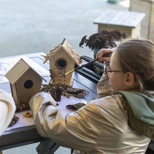 Animations Tour du Monde Maison Beauval Nature - Atelier nichoirs - ZooParc de Beauval