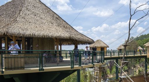 Se restaurer - Le Caatinga - ZooParc de Beauval