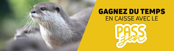 Offre Pass Zen - Billetterie - ZooParc de Beauval