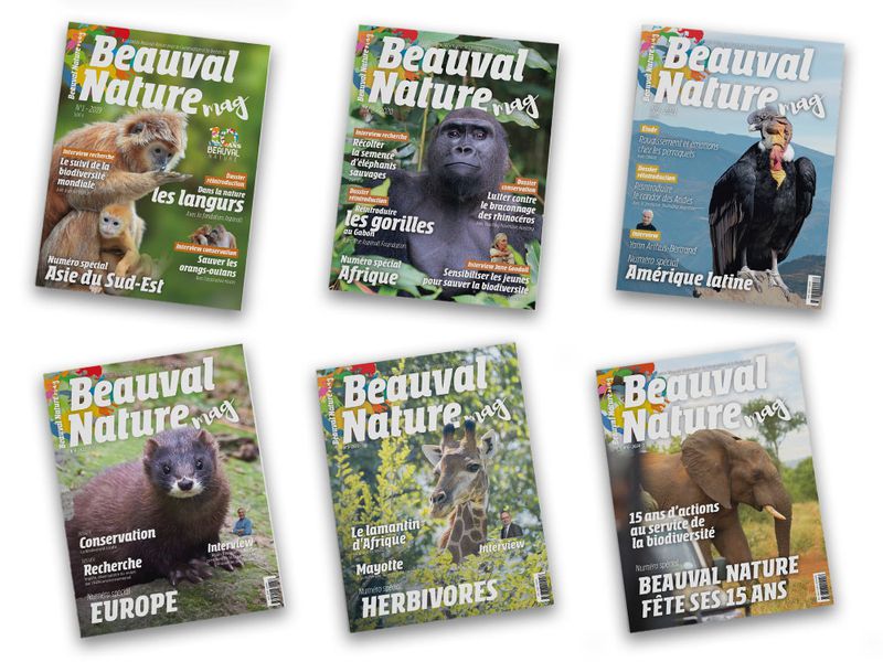 Magazine numéro 6 Beauval Nature - Association Beauval Nature - ZooParc de Beauval