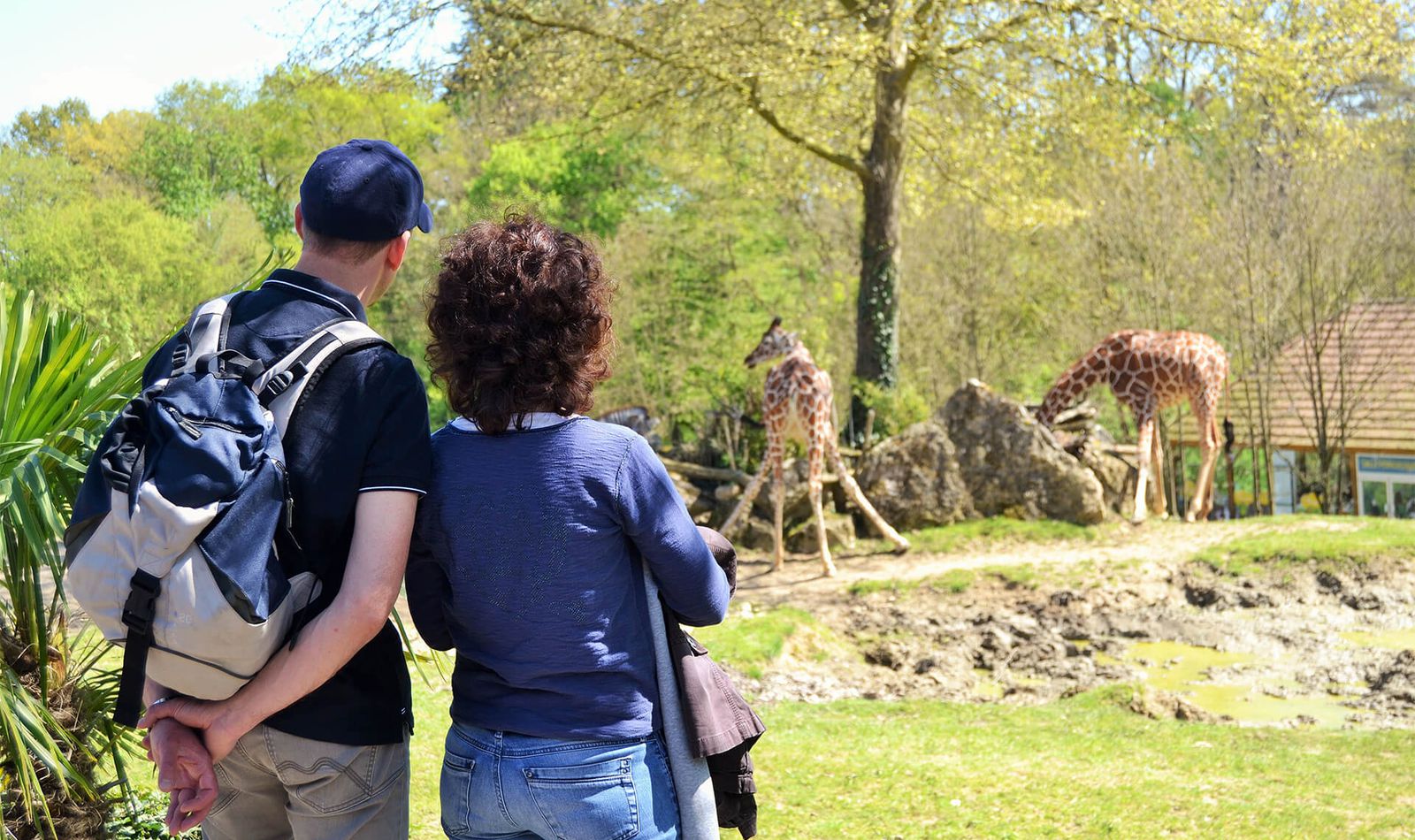 Come and visit the ZooParc de Beauval in summer