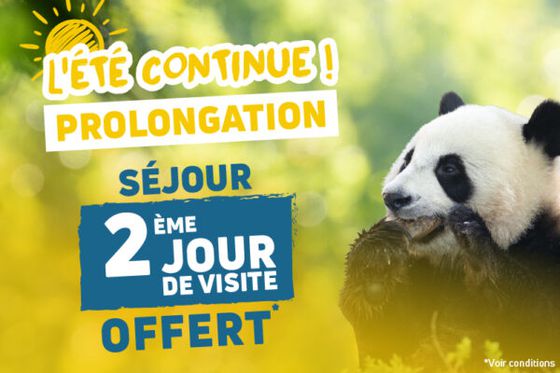L’Été Continue : prolongation de nos offres exceptionnelles sur les billets et les séjours
