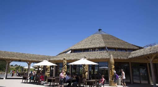 Le Kilimandjaro - Restaurant - ZooParc de Beauval