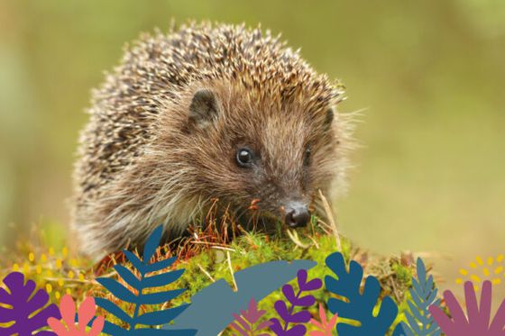 La nature se réveille à la Maison Beauval Nature… du 21 mars au 19 juin 2026 !