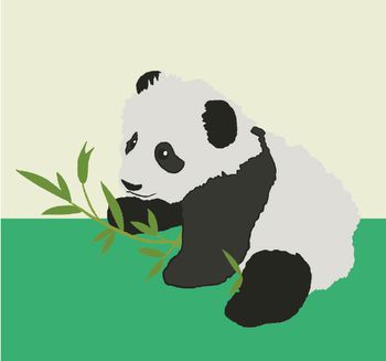 Panda cub - Six months old - ZooParc de Beauval