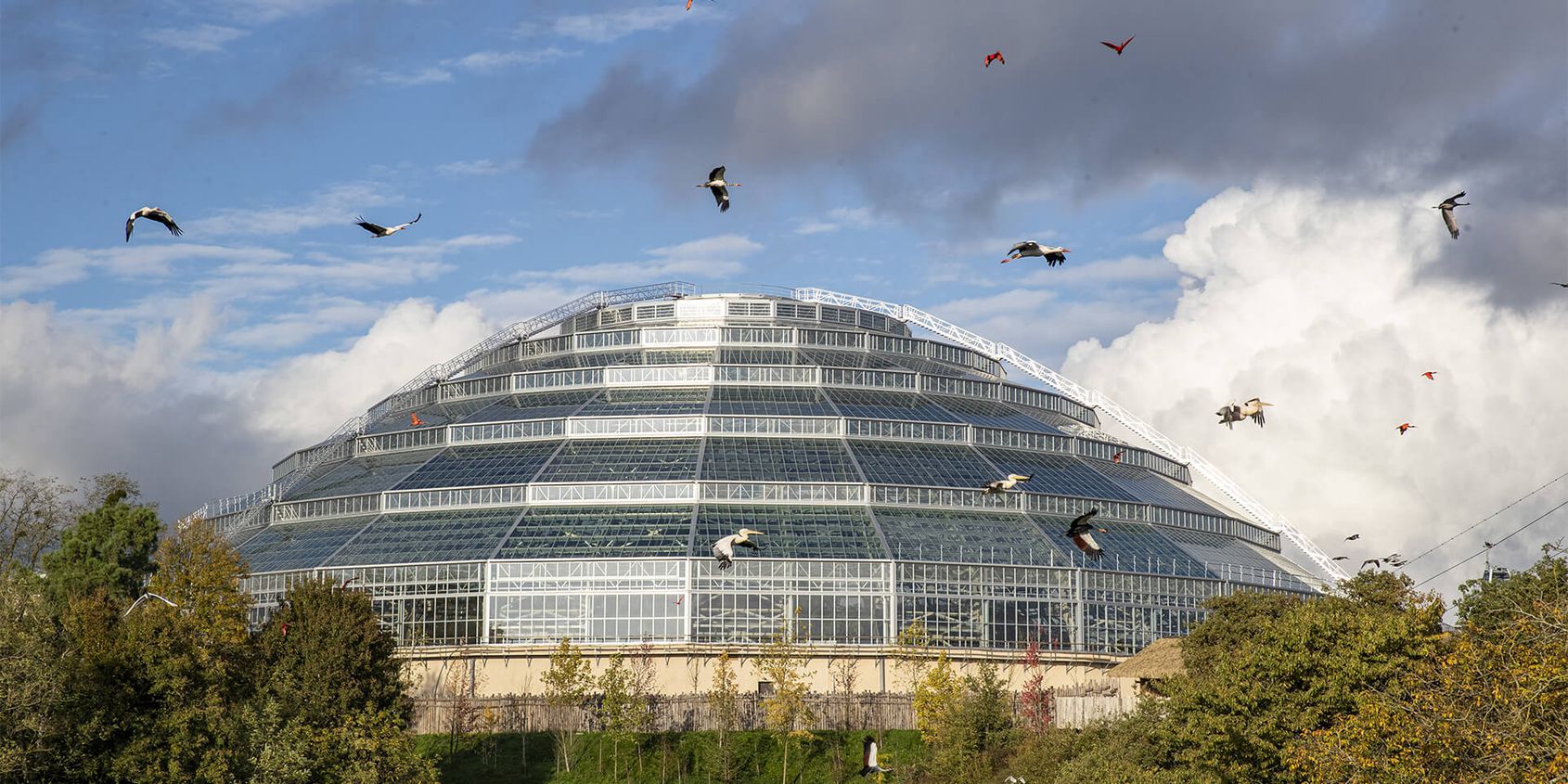 Outside of the Equatorial Dome