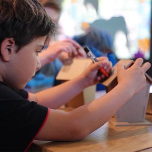 Animations Europe Maison Beauval Nature - Fabrication nichoirs - ZooParc de Beauval