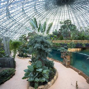 Le Dôme Équatorial Intérieur - Territoire du ZooParc de Beauval