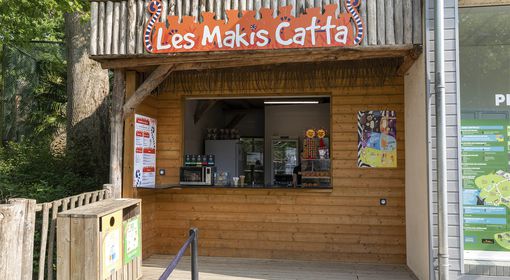 Se restaurer - Les Makis Cattas - ZooParc de Beauval