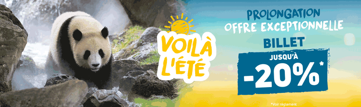 Promotion offre été - Billetterie et séjours - ZooParc de Beauval