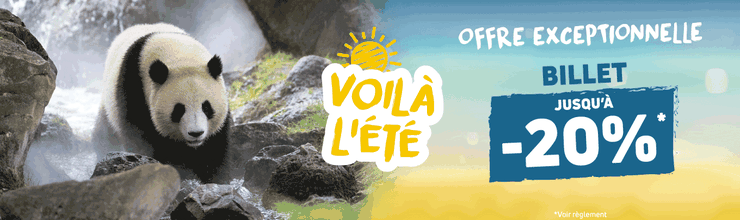 Promotion offre été - Billetterie et séjours - ZooParc de Beauval