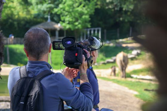 Les secrets de Beauval révélés dans Zone Interdite sur M6