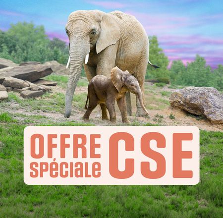 Offre promo CSE - Billetterie - ZooParc de Beauval