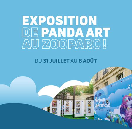 Exposition panda Centre Culturel de Chine à Paris - Évènement - ZooParc de Beauval