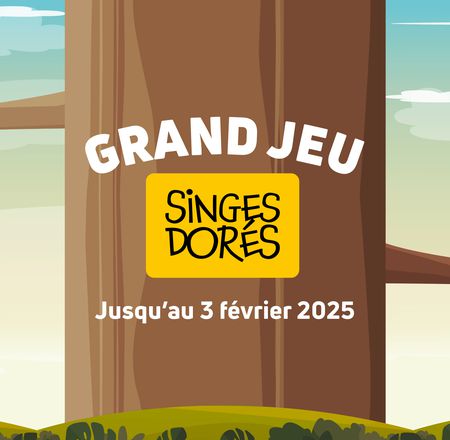 Grand jeu singes dorés - ZooParc de Beauval