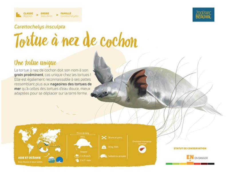 Nouveau panneau pédagogique du Dôme Équatorial - Pédagogie - ZooParc de Beauval