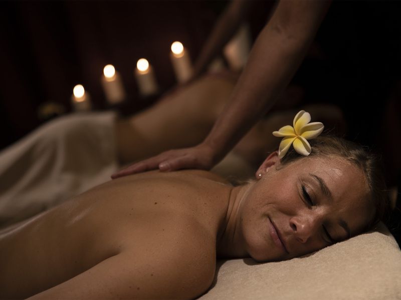 Spa des Jardins de Beauval - Hôtels - ZooParc de Beauval