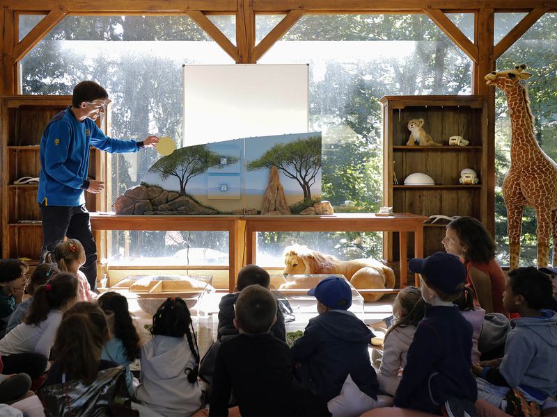 Ateliers pédagogiques - Activités du ZooParc de Beauval