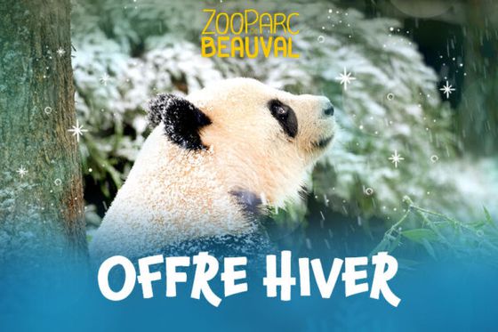 Profitez de l’Offre Spéciale Hiver pour un bol d’air à Beauval