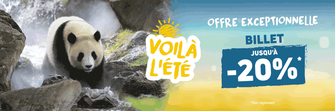 Offre été - Promotion billetterie et séjours - ZooParc de Beauval