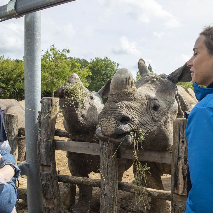 2020 Zoo De Beauval : Au Coeur De La Machine