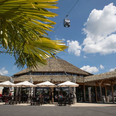 Restaurant climatisée Le Kilimandjaro avec sa terrasse ombragée à Beauval
