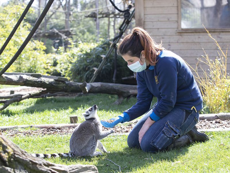 Des professionnels au service de la conservation - Nos missions - ZooParc de Beauval