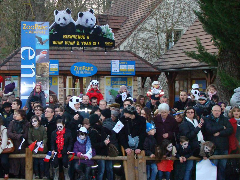 The public was present to welcome the pandas - ZooParc de Beauval