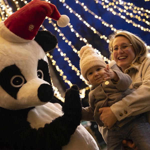 Noël à Beauval - Photo souvenir avec la mascotte panda - ZooParc de Beauval