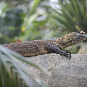 Animations pour découvrir les animaux avec rencontre d'un médiateur scientifique