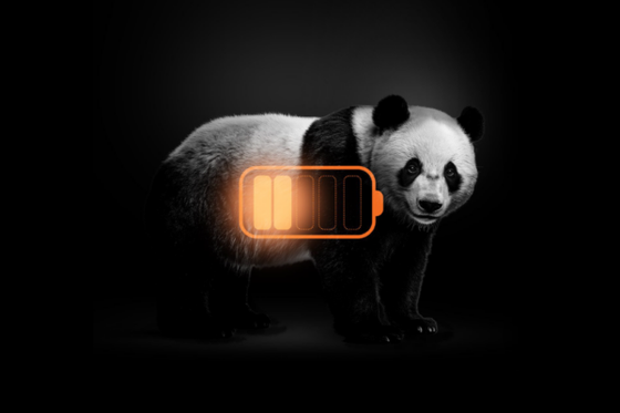 Temps restant avant extinction : une campagne qui alerte sans détour