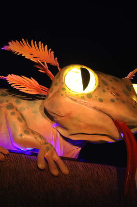 Guided tour, inside the Equatorial Dome - Activity - ZooParc de Beauval