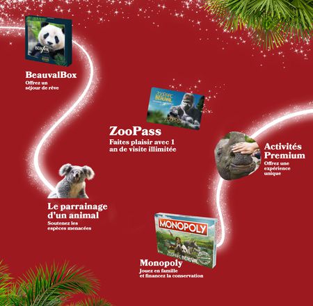 Idées cadeaux - Noël au ZooParc de Beauval
