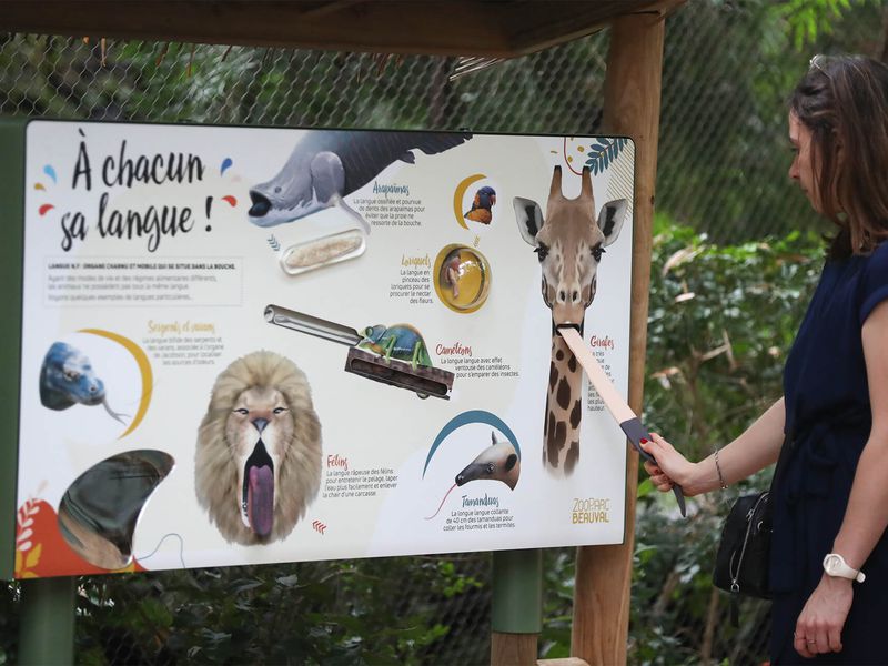 Panneau pédagogique dans le Dôme Équatorial Panneau pédagogique des langues des animaux dans le Dôme Équatorial - Vacances en famille au ZooParc de Beauval