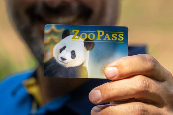 Jeu-concours 45 ans de Beauval : des cadeaux exceptionnels à remporter dont un ZooPass valable 45 ans !