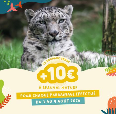 Abondement parrainages - Don supplémentaire à Beauval Nature - ZooParc de Beauval