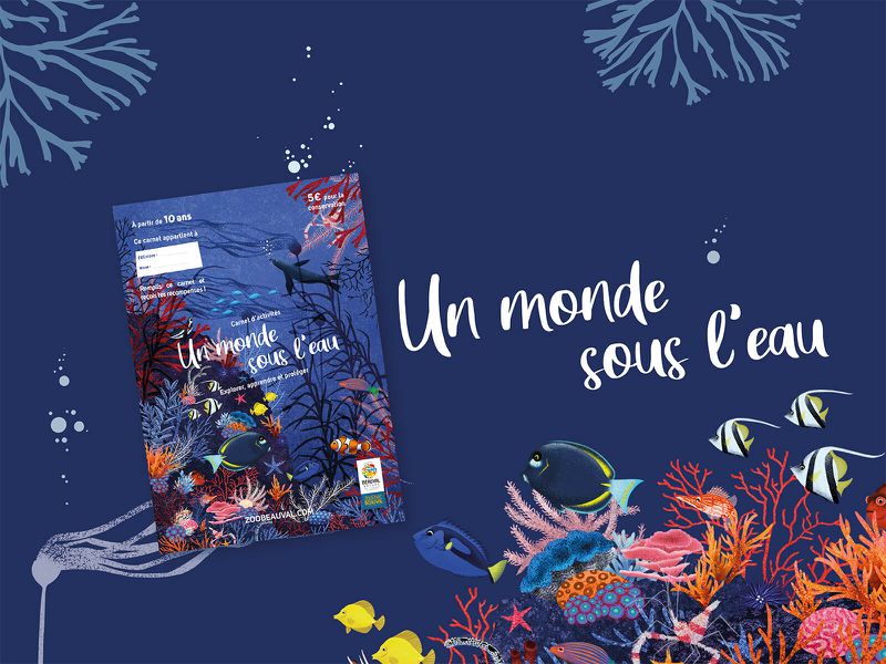 Carnet Un monde sous l'eau - Activités du ZooParc de Beauval