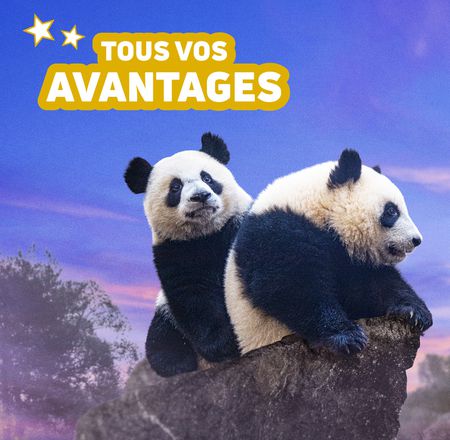 Refonte ZooPass et nouveautés - Billets et visites à Beauval - ZooParc de Beauval