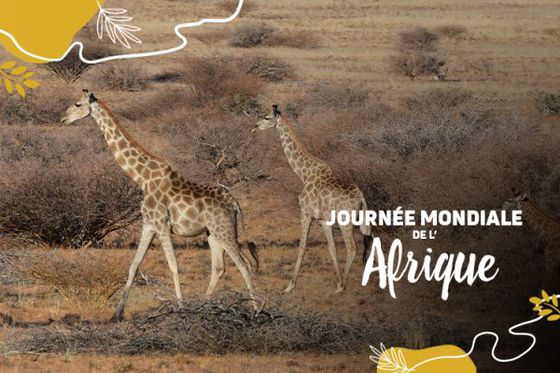 Aujourd’hui, c’est la journée mondiale de l’Afrique