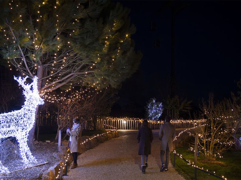 Noël à Beauval - Illuminations - ZooParc de Beauval