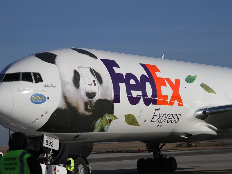 Arrivée à l'aéroport - Saga pandas ZooParc de Beauval