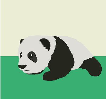 Panda cub - Three months old - ZooParc de Beauval