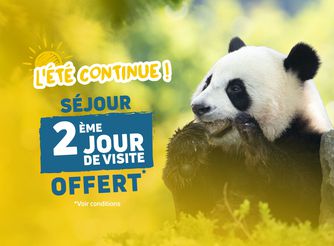 Exotic hotels - ZooParc de Beauval