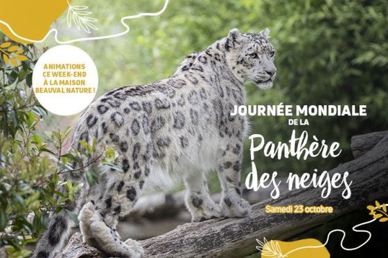 Une grande discrète mise à l’honneur en ce 23 octobre !