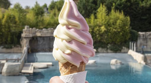 Se restaurer - Le Cahuita - ZooParc de Beauval