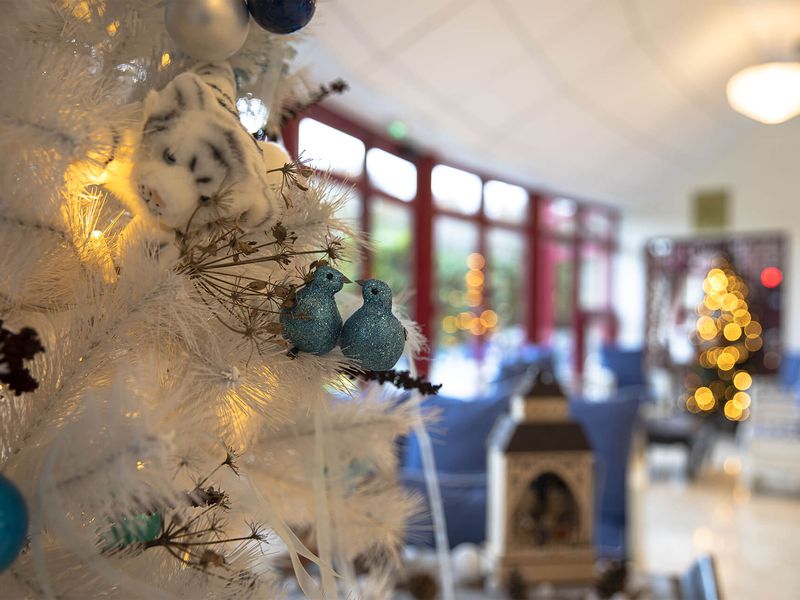 Noël à Beauval - Décoration dans les hôtels - ZooParc de Beauval