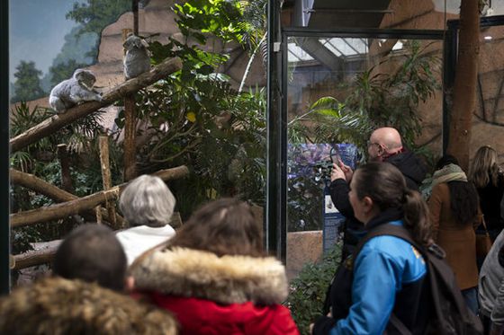 Journée des Parrains : un succès pour la biodiversité !