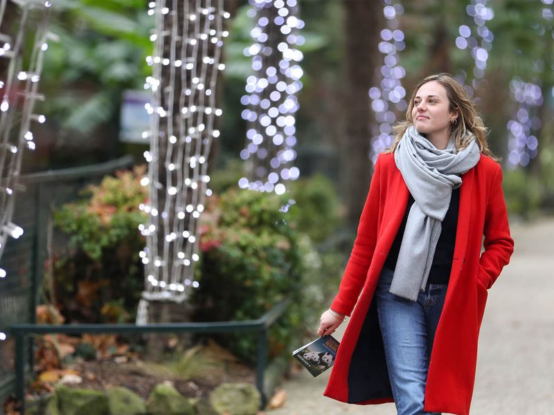 Noël à Beauval - Illuminations - ZooParc de Beauval