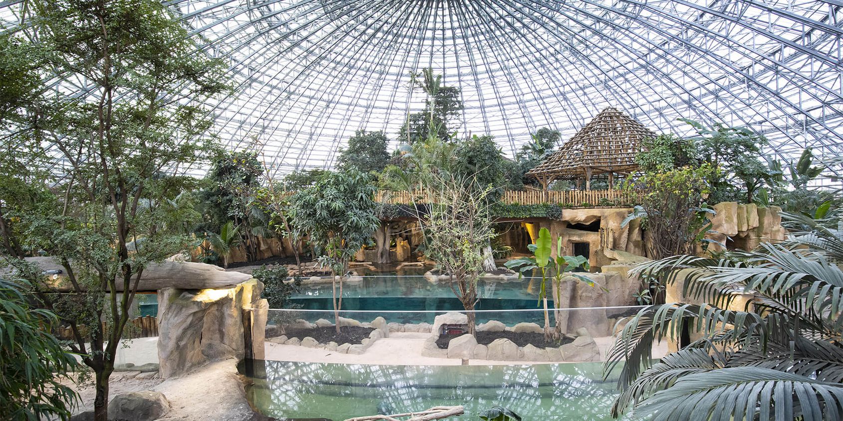 Vue Intérieur Dôme Équatorial - Territoire du ZooParc de Beauval